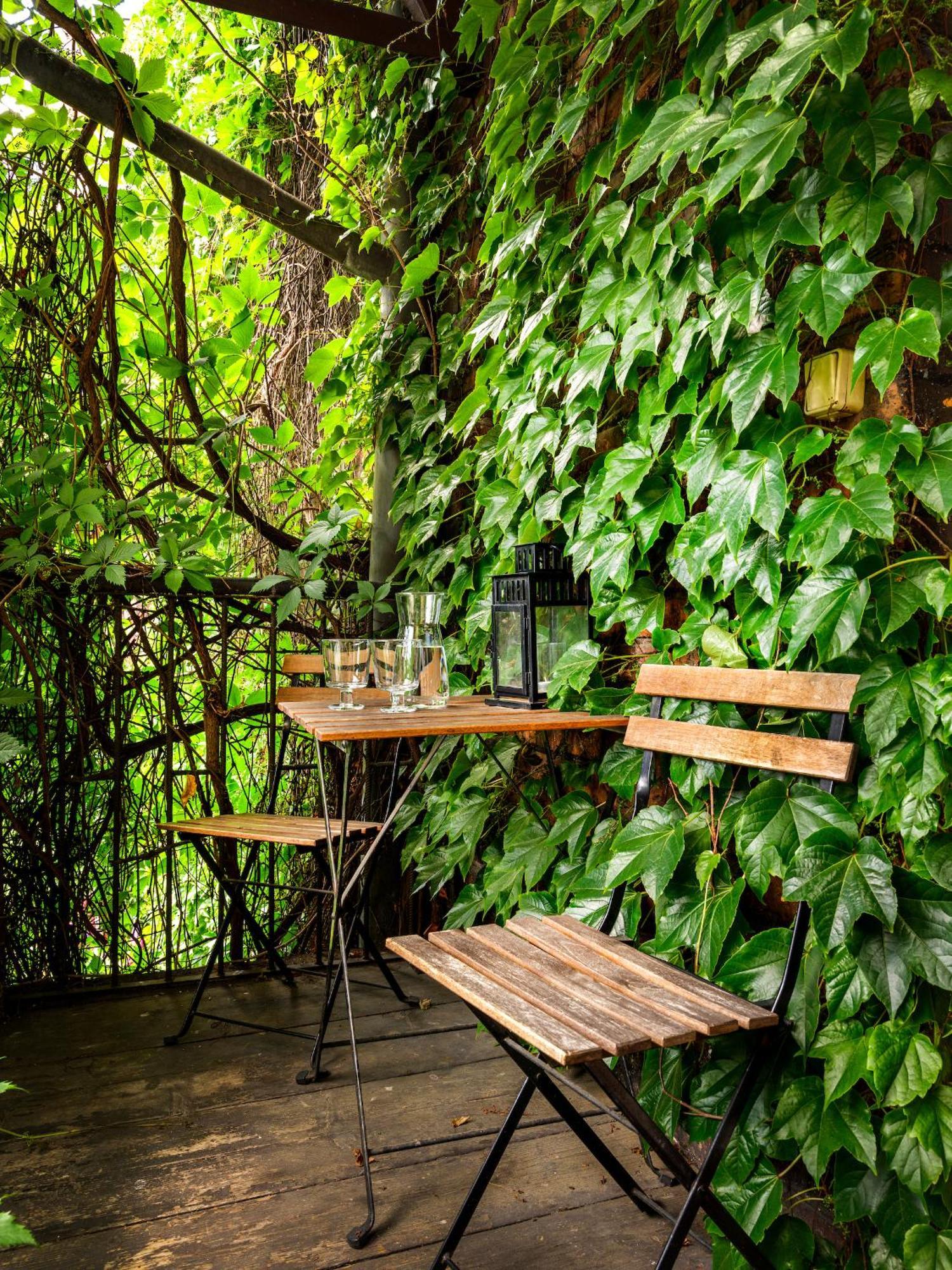 Tyzenhauz Grand Apartaments Krakov Exteriér fotografie